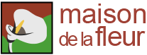 Fundamental Logo